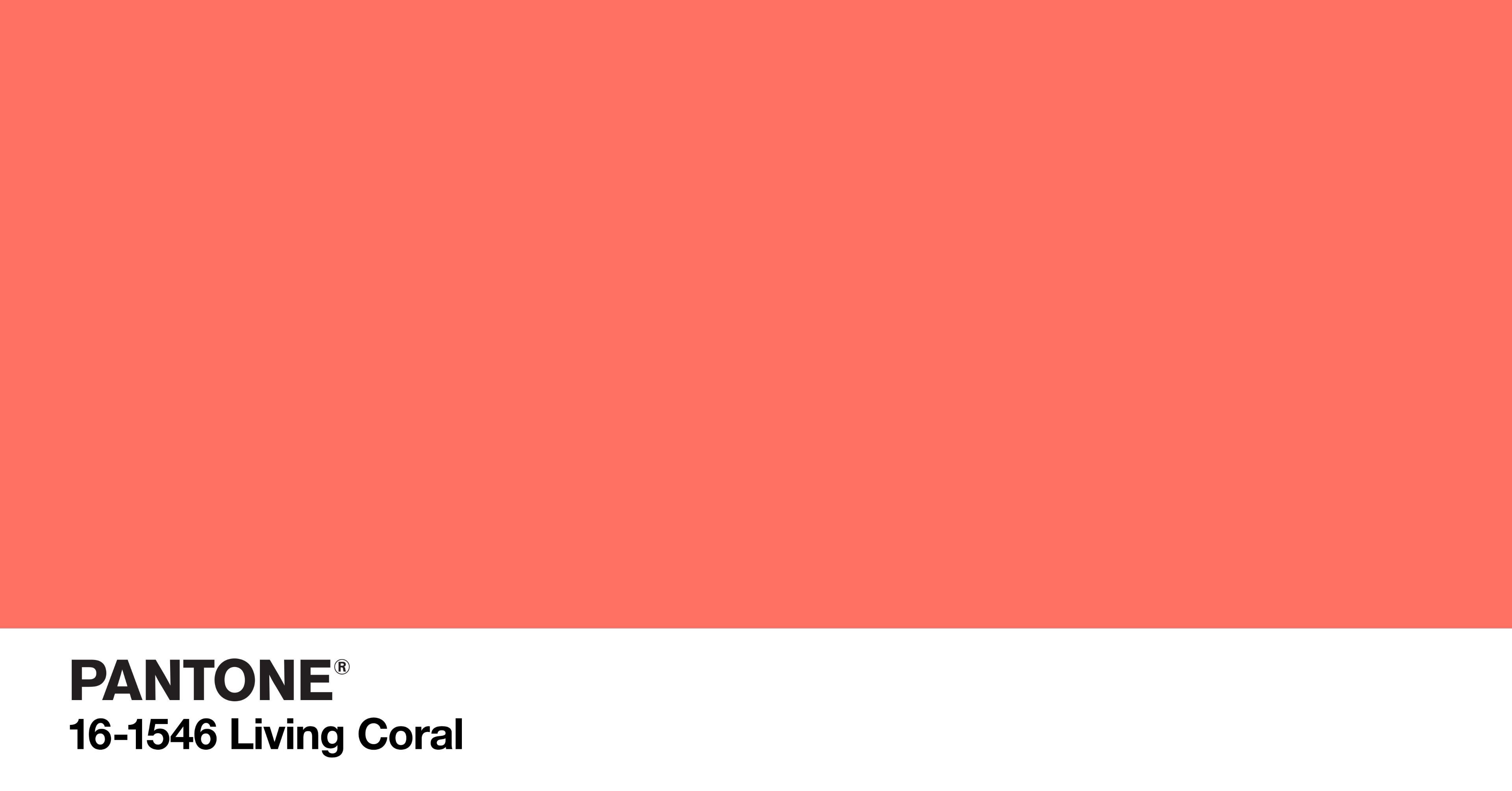 Living Coral Pantones Color Of The Year Hints Of A Vibrant Year Ahead Of Us Siam Nite