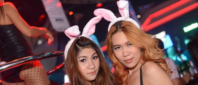 Bunny Party